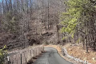 224 Riddle Rd, Swannanoa, NC 28778 - Photo 13