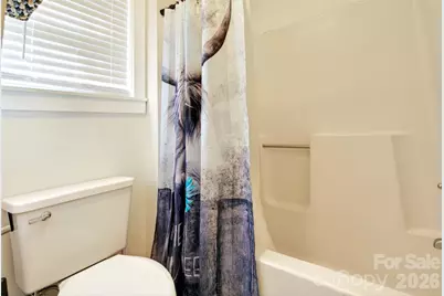 951,953,955,959 Nc 9 Highway, Black Mountain, NC 28711 - Photo 45