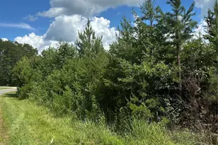 000 Mauney Rd, Bessemer City, NC 28016 - Photo 1