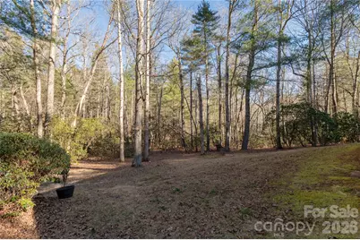 55 English Ivy Lane, Zirconia, NC 28790 - Photo 19