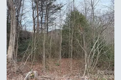 0 S Old Nc 18 Highway S, Connelly Springs, NC 28612 - Photo 5