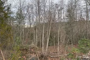 0 S Old Nc 18 Hwy S, Connelly Springs, NC 28612 - Photo 1