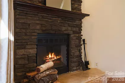 61 Rhododendron Drive, Brevard, NC 28712 - Photo 11