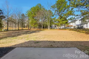 4529 Arabella Dr, Charlotte, NC 28273 - Photo 39