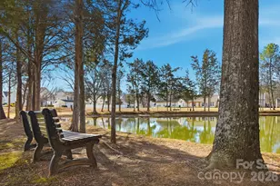 4529 Arabella Dr, Charlotte, NC 28273 - Photo 43