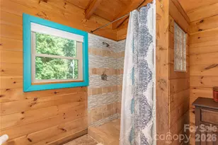 40 Shook Cv Rd, Leicester, NC 28748 - Photo 35