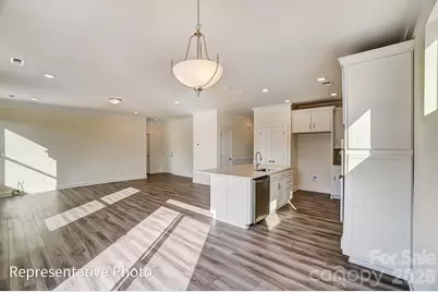 5923 New River Drive, Huntersville, NC 28078 - Photo 9