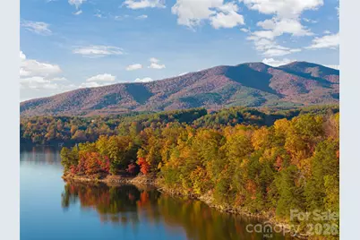 1341 Forest Lake Heights Drive, Nebo, NC 28761 - Photo 11