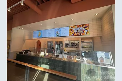 14 Swannanoa River Road, Asheville, NC 28805 - Photo 5