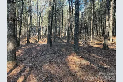 1291 Scenic Vista Drive #288, Nebo, NC 28761 - Photo 3