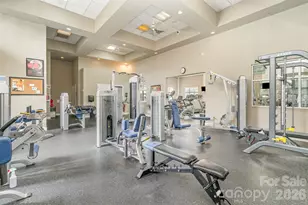 419 Vintage Hill Ln, Huntersville, NC 28078 - Photo 47