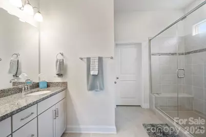 149 Cup Chase Drive, Mooresville, NC 28115 - Photo 11