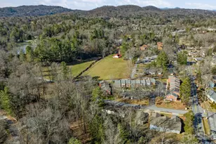 1411 Kensington Rd, Hendersonville, NC 28791 - Photo 39