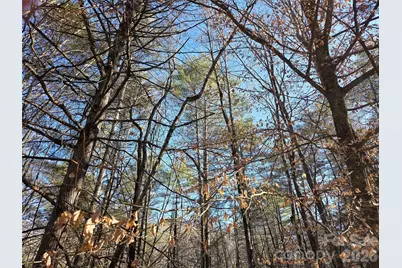 L11 Deerlake Road #11, Brevard, NC 28712 - Photo 7