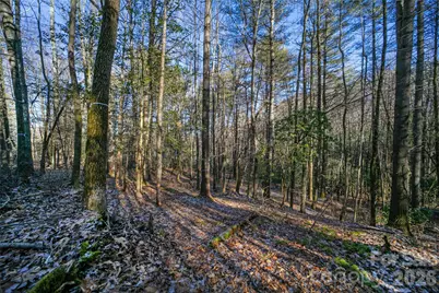 L11 Deerlake Road #11, Brevard, NC 28712 - Photo 5