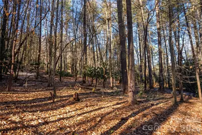 L11 Deerlake Road #11, Brevard, NC 28712 - Photo 1