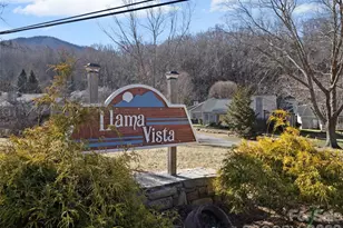 102 Llama Wy, Black Mountain, NC 28711 - Photo 29