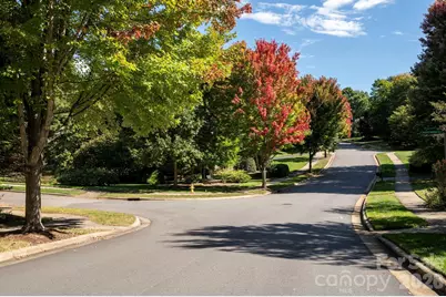 622 Welsh Partridge Circle, Candler, NC 28715 - Photo 39