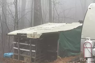 293 Dogwood Rd, Moravian Falls, NC 28654 - Photo 17