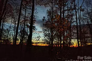 293 Dogwood Rd, Moravian Falls, NC 28654 - Photo 19