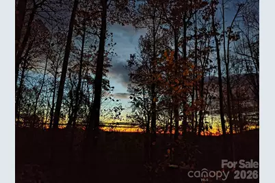 293 Dogwood Road, Moravian Falls, NC 28654 - Photo 13