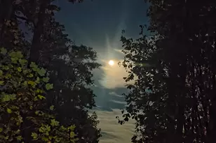 293 Dogwood Rd, Moravian Falls, NC 28654 - Photo 11