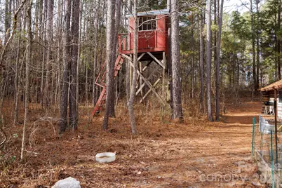 1939 Orrs Station Road, Chester, SC 29706 - Photo 17