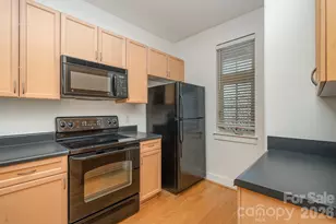 1101 W 1st St, Charlotte, NC 28202 - Photo 9