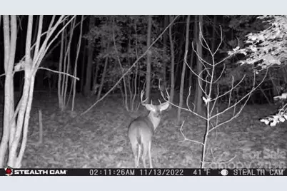 Tbd Taylorsville Road, Granite Falls, NC 28645 - Photo 5