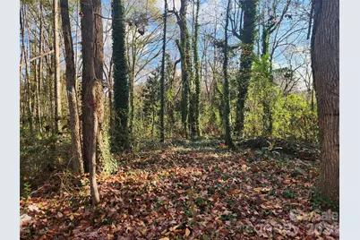 0 Wellman Street #182, Gastonia, NC 28054 - Photo 3