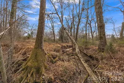 00 Davidson Court, Taylorsville, NC 28681 - Photo 39