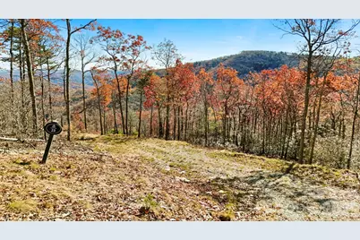 Lot 23 Bluebell Trail, Boone, NC 28607 - Photo 5