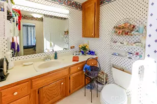 350 Morningstar Lake Rd, Forest City, NC 28043 - Photo 19