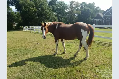 5432 E Highway 218 Highway, Monroe, NC 28110 - Photo 29