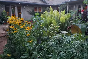 8777 Hickory Ridge Rd, Harrisburg, NC 28075 - Photo 43