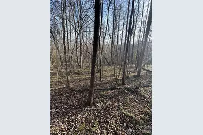 147 Double Eagle Drive #23, Nebo, NC 28761 - Photo 27