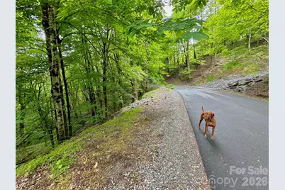 Tbd Alpine Drive #21-22, Seven Devils, NC 28604 - Photo 11