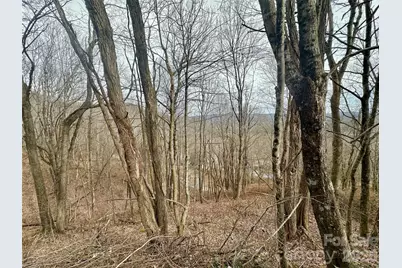 Tbd Alpine Drive #21-22, Seven Devils, NC 28604 - Photo 5