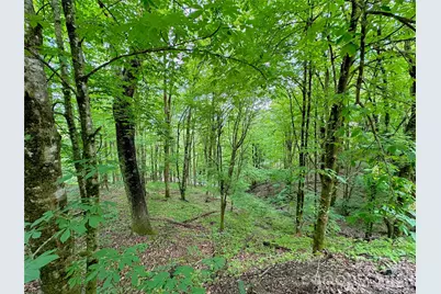 Tbd Alpine Drive #21-22, Seven Devils, NC 28604 - Photo 13