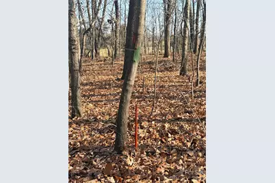 414 Drye Road #TR 2, Polkton, NC 28135 - Photo 11