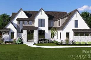 16713 Grande Vineyards Dr, Mint Hill, NC 28227 - Photo 1