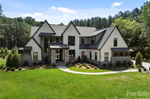 16713 Grande Vineyards Dr, Mint Hill, NC 28227 - Photo 1
