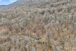 1586 Skyuka Mountain Rd, Columbus, NC 28722 - Photo 45