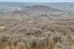 1586 Skyuka Mountain Rd, Columbus, NC 28722 - Photo 47