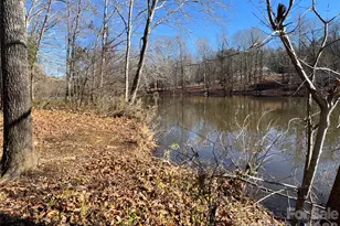 864 Butler Lake Rd, Chester, SC 29706 - Photo 25