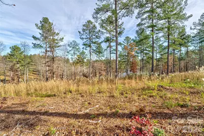 3084 Mount Harvard Court #79, Connelly Springs, NC 28612 - Photo 5