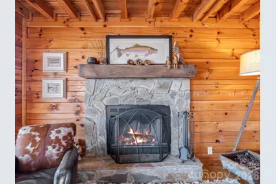 169 Laurel Lane, Lake Lure, NC 28746 - Photo 9