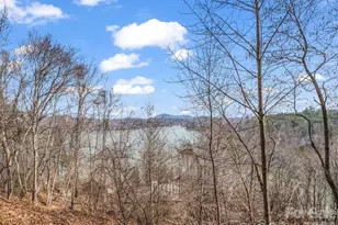 169 Laurel Ln, Lake Lure, NC 28746 - Photo 31