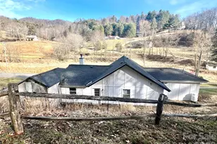 1029 Jacks Creek Rd, Burnsville, NC 28714 - Photo 3