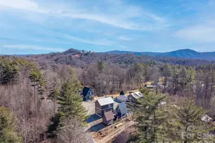 102 Pole Miller Ext, Brevard, NC 28712 - Photo 11